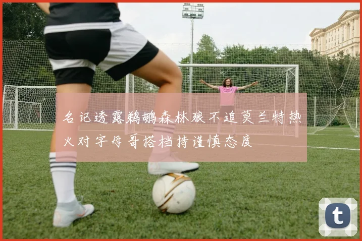 名记透露鹈鹕森林狼不追莫兰特热火对字母哥搭档持谨慎态度